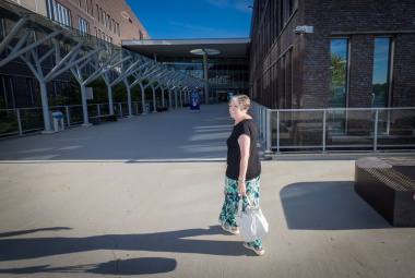Francine VM3 - Lieven Van Assche