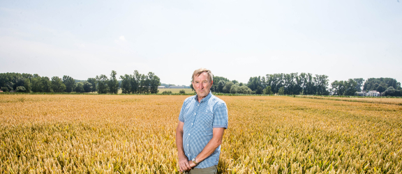 Ferdi Van Den Haute