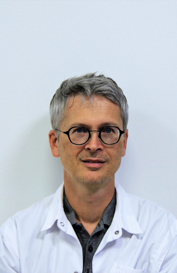 Professor dr. Michel De Vos