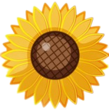 Zonnekracht vzw